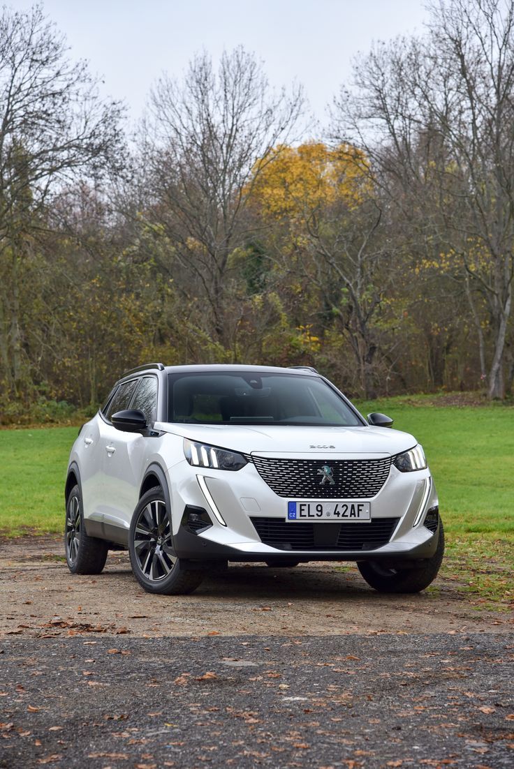 PEUGEOT 2008 II (2019-2024)